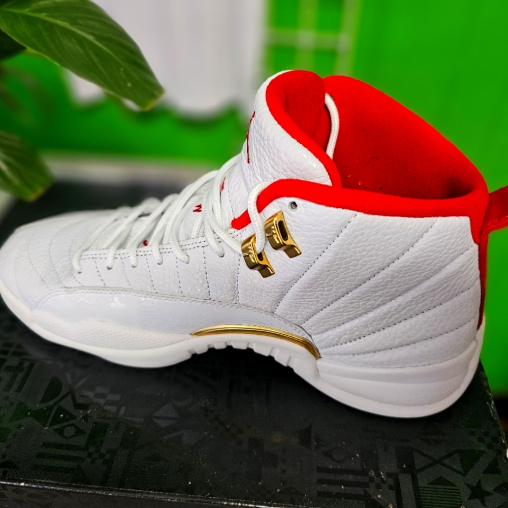 Jordan Retro 12